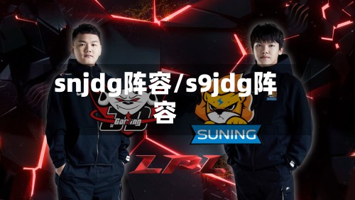 snjdg阵容/s9jdg阵容