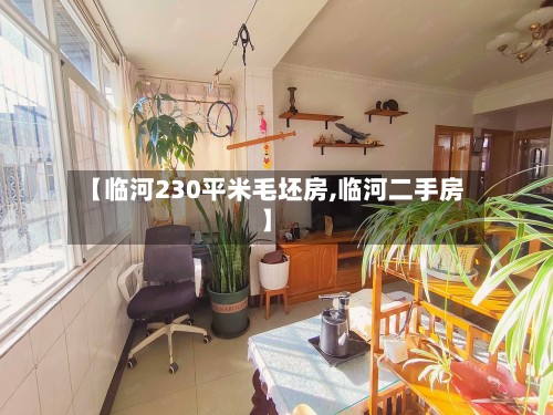 【临河230平米毛坯房,临河二手房】