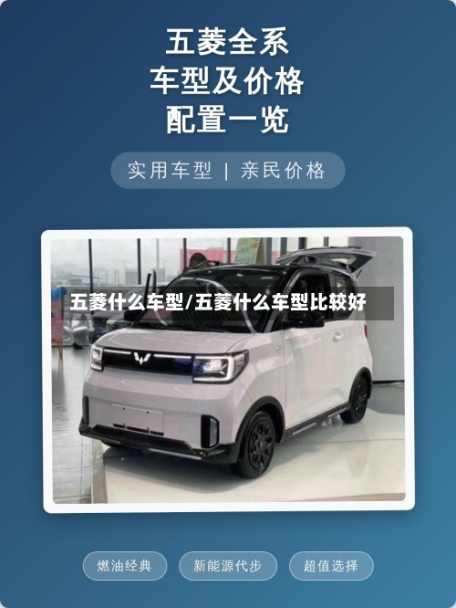 五菱什么车型/五菱什么车型比较好-第2张图片