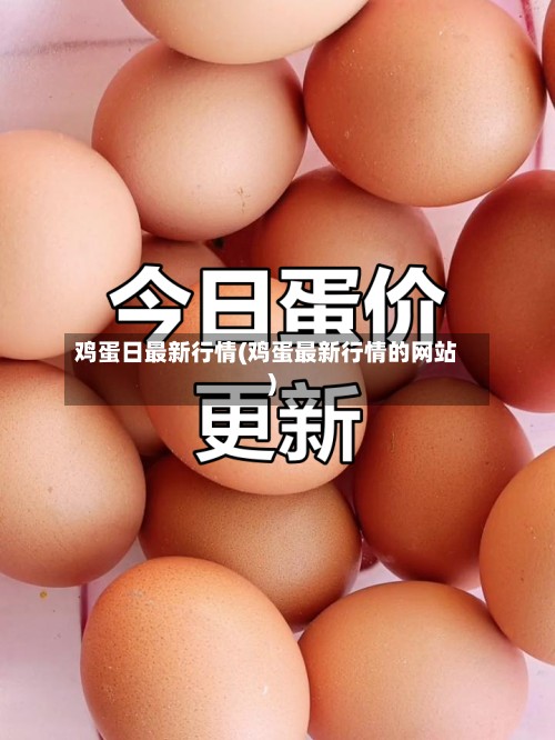 鸡蛋日最新行情(鸡蛋最新行情的网站)-第2张图片