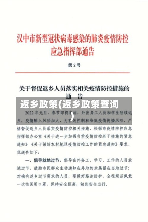 返乡政策(返乡政策查询)