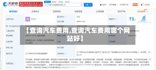 【查询汽车费用,查询汽车费用哪个网站好】-第2张图片