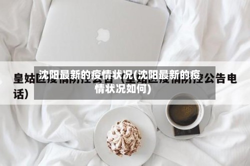 沈阳最新的疫情状况(沈阳最新的疫情状况如何)-第3张图片