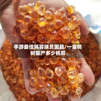 手游最佳阵容球员国籍/一亩桃树能产多少桃胶