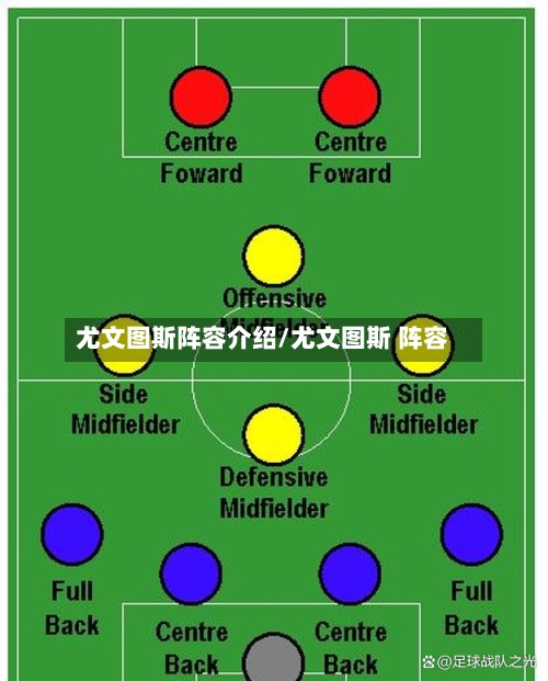 尤文图斯阵容介绍/尤文图斯 阵容