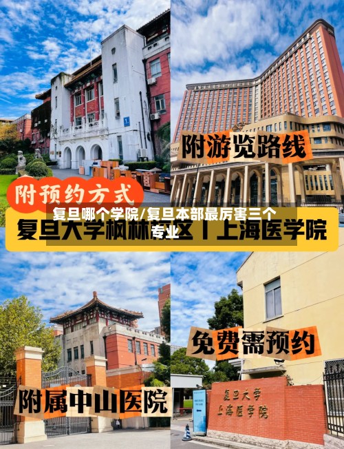 复旦哪个学院/复旦本部最厉害三个专业