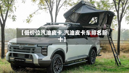 【低价位汽油皮卡,汽油皮卡车排名前十】-第2张图片