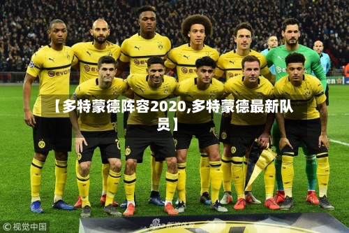 【多特蒙德阵容2020,多特蒙德最新队员】