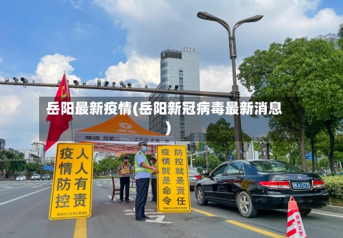 岳阳最新疫情(岳阳新冠病毒最新消息)