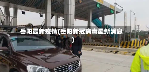 岳阳最新疫情(岳阳新冠病毒最新消息)-第2张图片