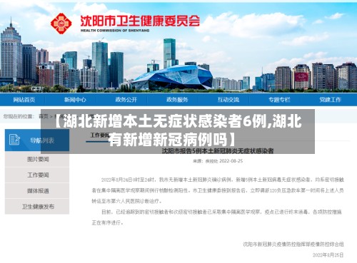 【湖北新增本土无症状感染者6例,湖北有新增新冠病例吗】-第2张图片
