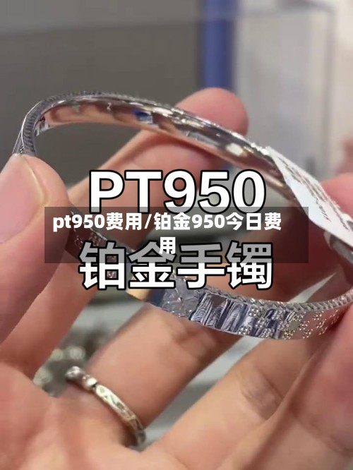 pt950费用/铂金950今日费用-第3张图片