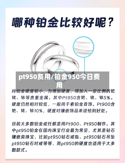 pt950费用/铂金950今日费用-第2张图片