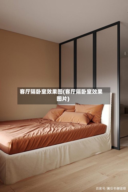 客厅隔卧室效果图(客厅隔卧室效果图片)