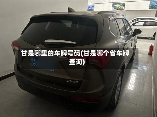 甘是哪里的车牌号码(甘是哪个省车牌查询)-第2张图片