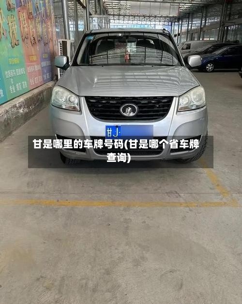 甘是哪里的车牌号码(甘是哪个省车牌查询)-第3张图片