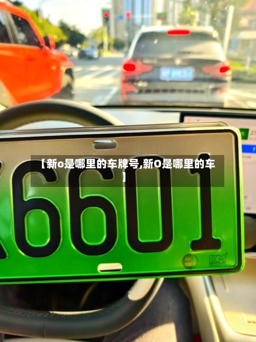 【新o是哪里的车牌号,新O是哪里的车】-第2张图片