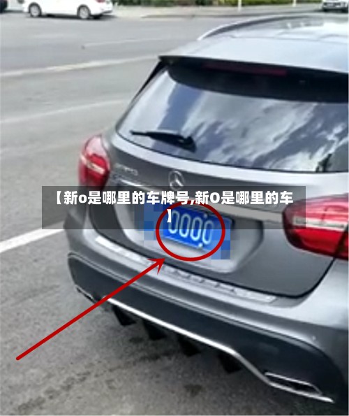 【新o是哪里的车牌号,新O是哪里的车】