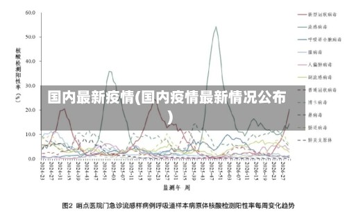 国内最新疫情(国内疫情最新情况公布)