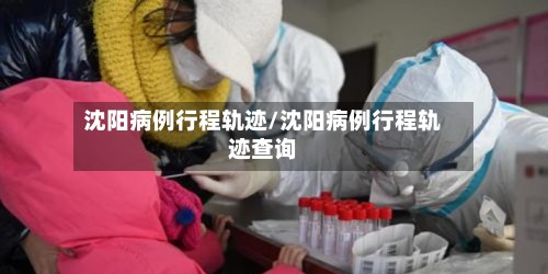 沈阳病例行程轨迹/沈阳病例行程轨迹查询-第2张图片