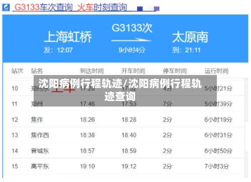 沈阳病例行程轨迹/沈阳病例行程轨迹查询-第3张图片