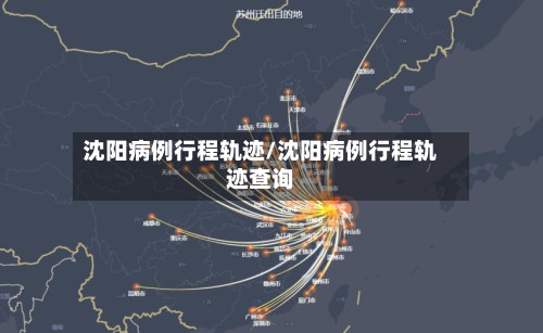 沈阳病例行程轨迹/沈阳病例行程轨迹查询