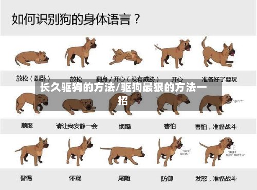 长久驱狗的方法/驱狗最狠的方法一招-第2张图片