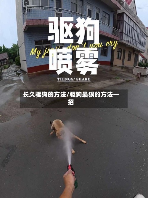 长久驱狗的方法/驱狗最狠的方法一招-第3张图片