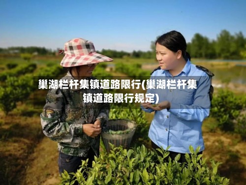 巢湖栏杆集镇道路限行(巢湖栏杆集镇道路限行规定)-第2张图片