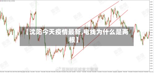 【沈阳今天疫情最新,电线为什么是两根】