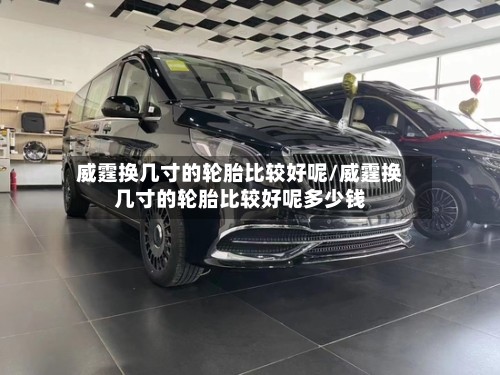 威霆换几寸的轮胎比较好呢/威霆换几寸的轮胎比较好呢多少钱-第3张图片