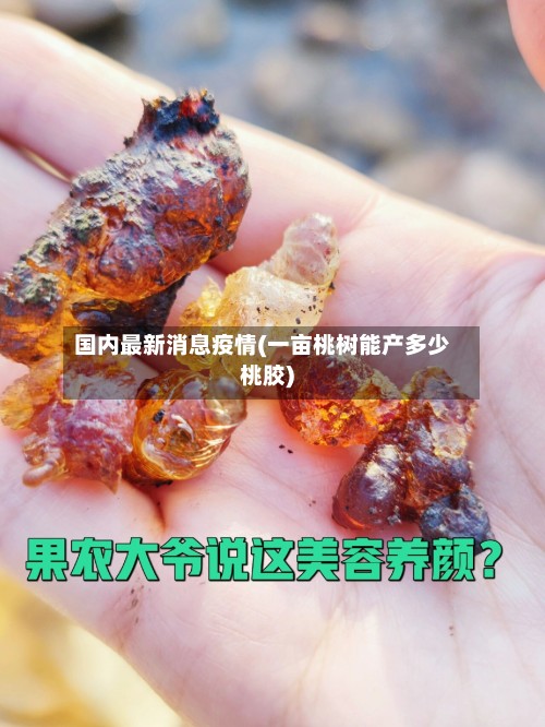 国内最新消息疫情(一亩桃树能产多少桃胶)