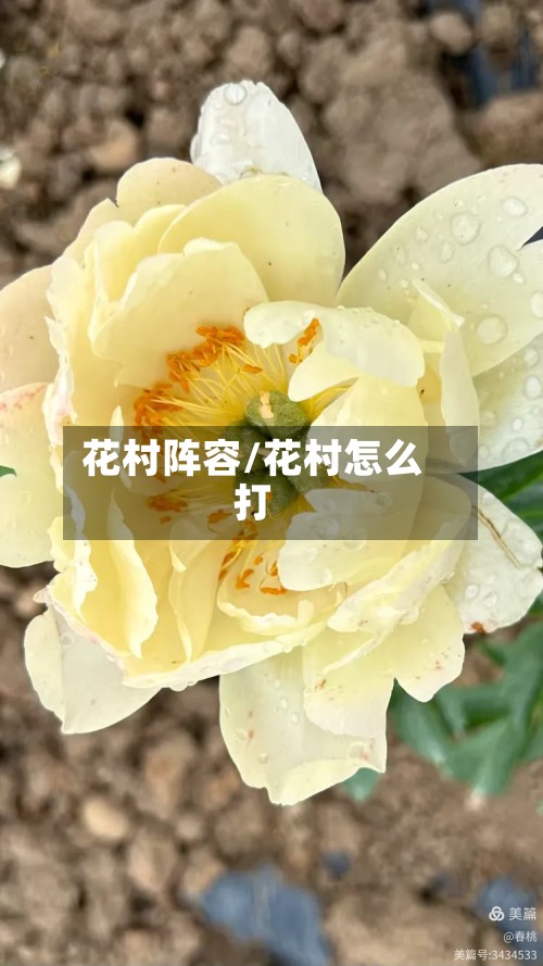 花村阵容/花村怎么打-第2张图片