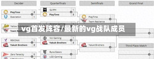 vg首发阵容/最新的vg战队成员