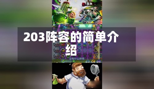 203阵容的简单介绍