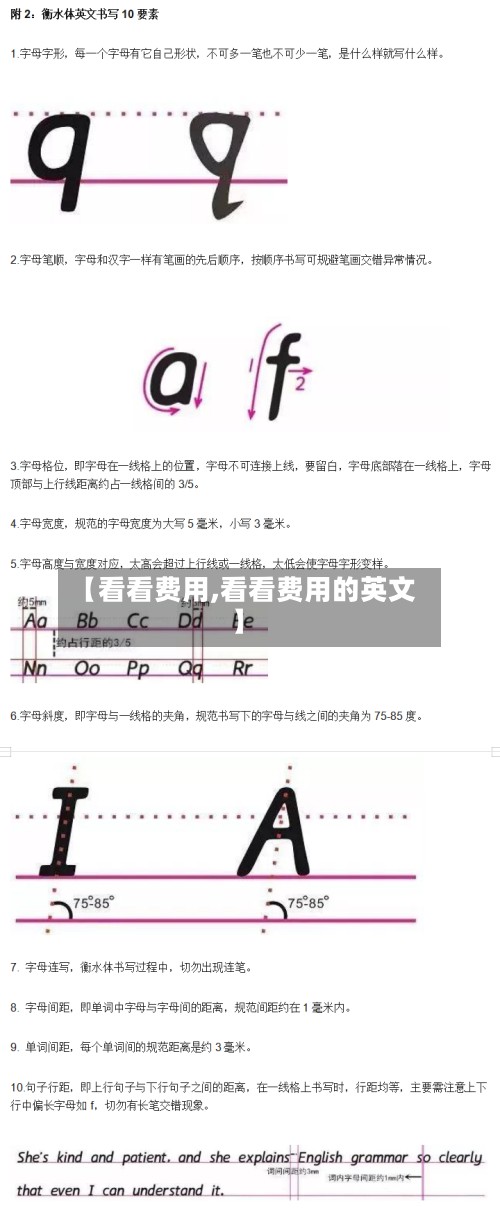 【看看费用,看看费用的英文】-第3张图片