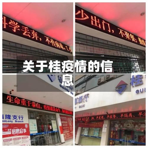关于桂疫情的信息-第2张图片