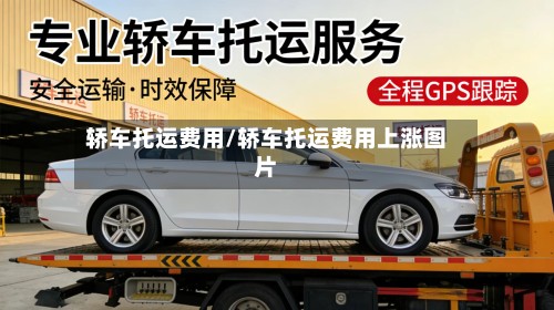 轿车托运费用/轿车托运费用上涨图片