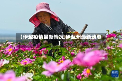 【伊犁疫情最新情况,伊犁州最新动态】