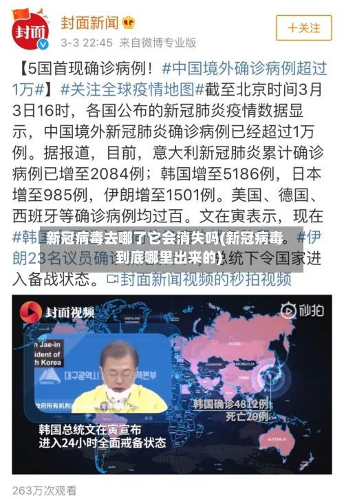 新冠病毒去哪了它会消失吗(新冠病毒到底哪里出来的)