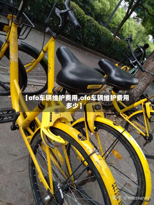 【ofo车辆维护费用,ofo车辆维护费用多少】