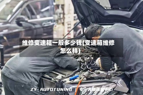 维修变速箱一般多少钱(变速箱维修怎么样)-第3张图片