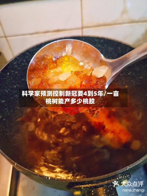 科学家预测控制新冠要4到5年/一亩桃树能产多少桃胶-第3张图片