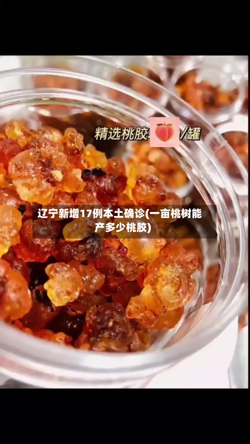 辽宁新增17例本土确诊(一亩桃树能产多少桃胶)-第2张图片