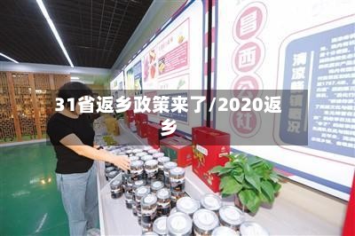31省返乡政策来了/2020返乡-第3张图片