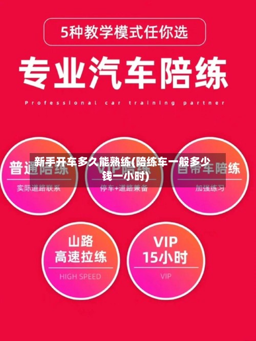 新手开车多久能熟练(陪练车一般多少钱一小时)
