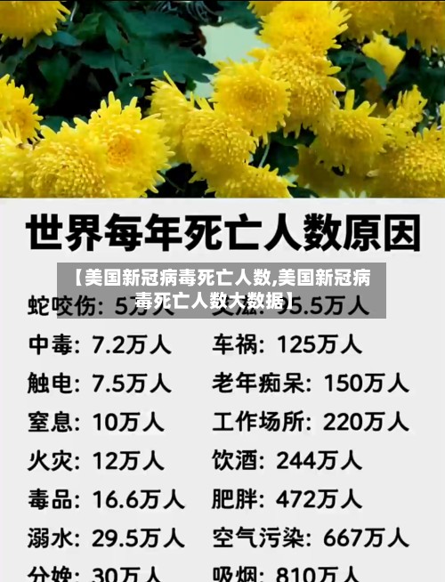 【美国新冠病毒死亡人数,美国新冠病毒死亡人数大数据】