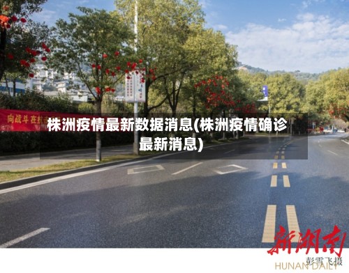 株洲疫情最新数据消息(株洲疫情确诊最新消息)-第2张图片