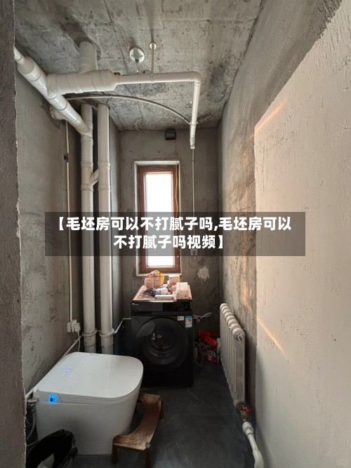 【毛坯房可以不打腻子吗,毛坯房可以不打腻子吗视频】