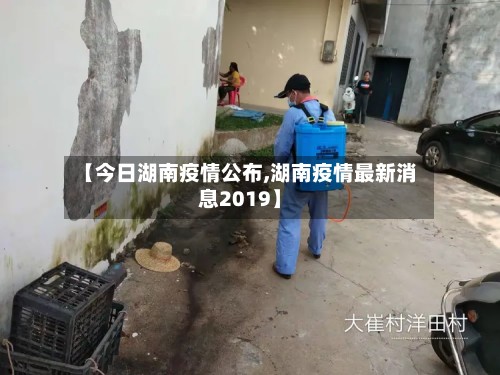 【今日湖南疫情公布,湖南疫情最新消息2019】